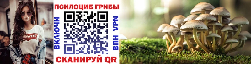 купить наркоту  Тарко-Сале  KRAKEN как войти  Галлюциногенные грибы MAGIC MUSHROOMS 